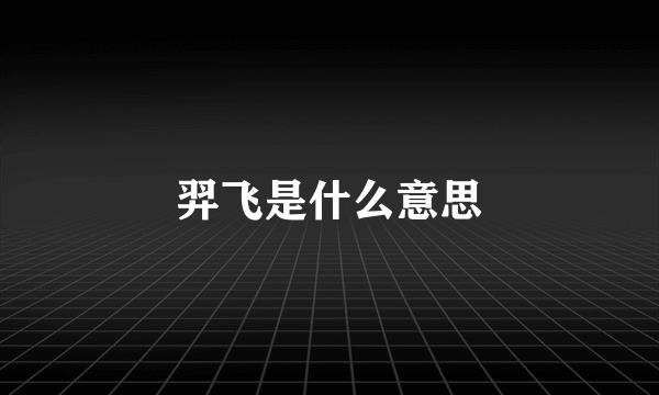 羿飞是什么意思