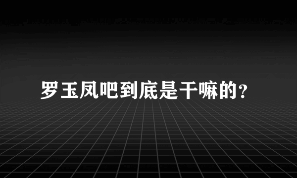 罗玉凤吧到底是干嘛的？
