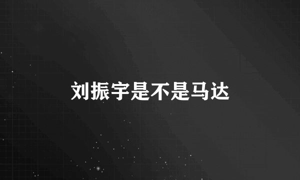 刘振宇是不是马达