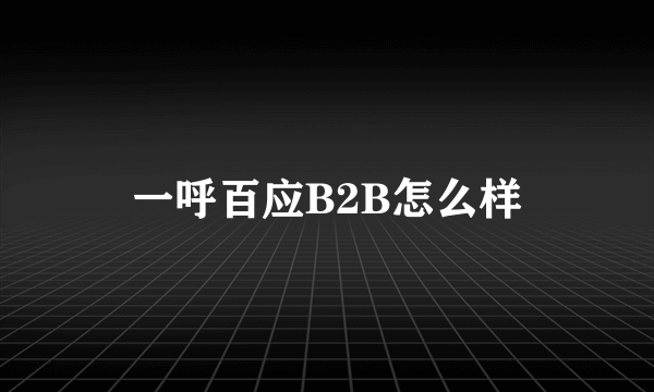 一呼百应B2B怎么样