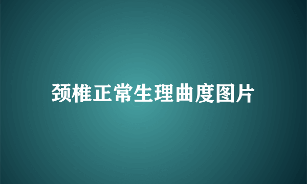 颈椎正常生理曲度图片