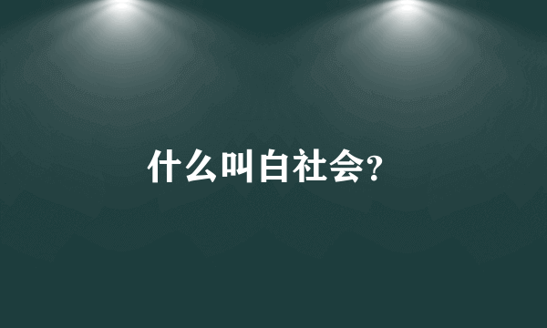 什么叫白社会？