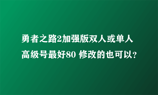 勇者之路2加强版双人或单人高级号最好80 修改的也可以？