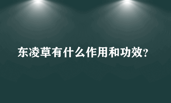 东凌草有什么作用和功效？