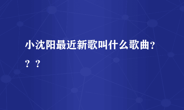 小沈阳最近新歌叫什么歌曲？？？