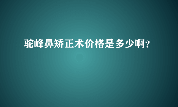 驼峰鼻矫正术价格是多少啊？