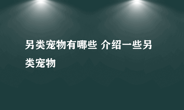 另类宠物有哪些 介绍一些另类宠物