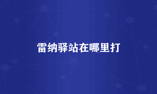 雷纳驿站在哪里打
