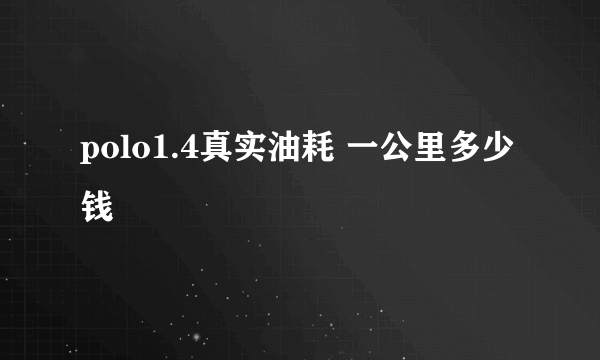 polo1.4真实油耗 一公里多少钱