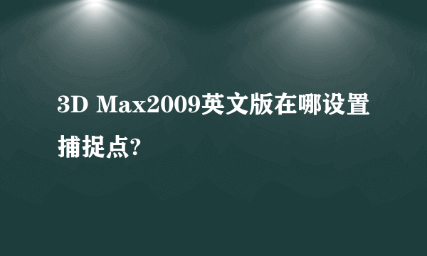 3D Max2009英文版在哪设置捕捉点?