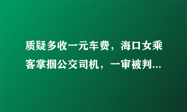 质疑多收一元车费，海口女乘客掌掴公交司机，一审被判4年, 你怎么看？