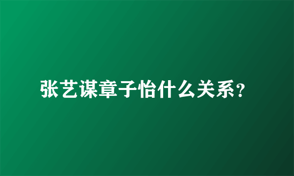 张艺谋章子怡什么关系？