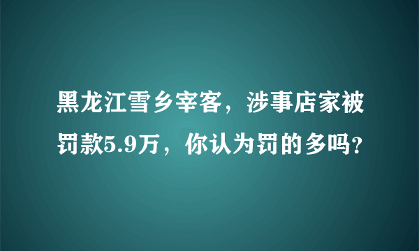 黑龙江雪乡宰客，涉事店家被罚款5.9万，你认为罚的多吗？