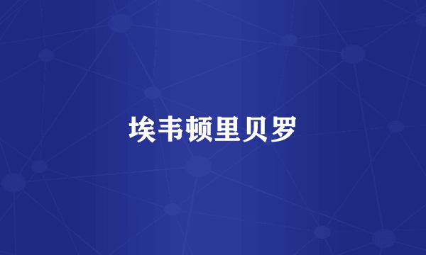 埃韦顿里贝罗
