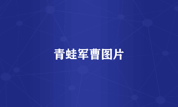 青蛙军曹图片