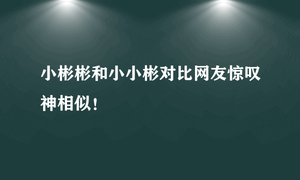 小彬彬和小小彬对比网友惊叹神相似！