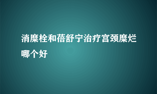 消糜栓和蓓舒宁治疗宫颈糜烂哪个好