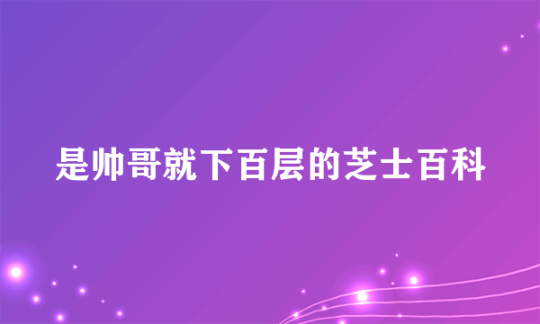 是帅哥就下百层的芝士百科