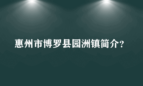 惠州市博罗县园洲镇简介？