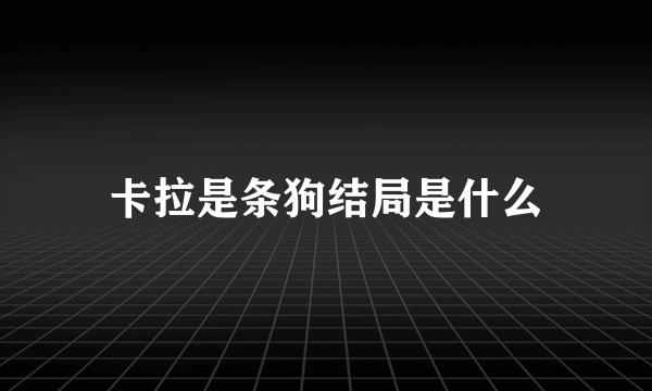 卡拉是条狗结局是什么