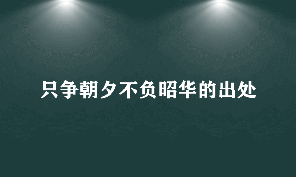 只争朝夕不负昭华的出处