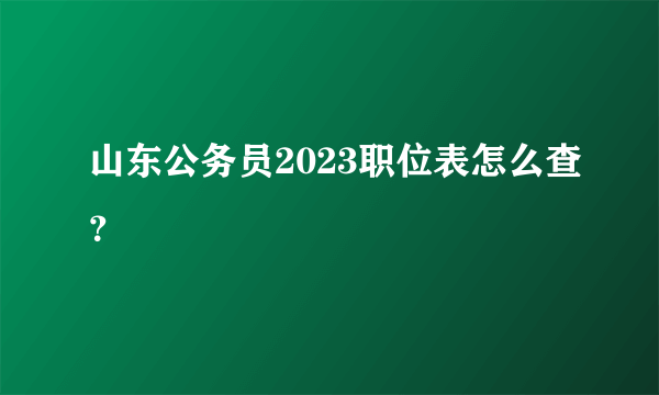 山东公务员2023职位表怎么查？