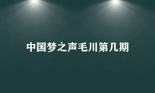 中国梦之声毛川第几期