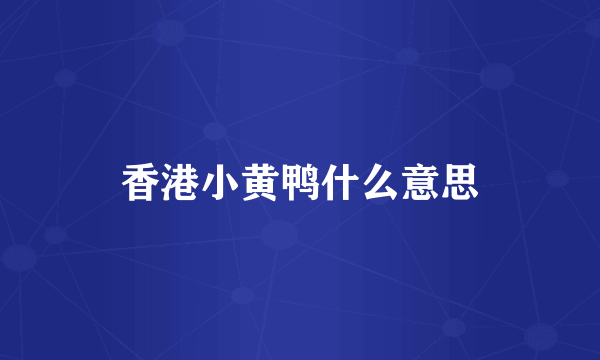 香港小黄鸭什么意思
