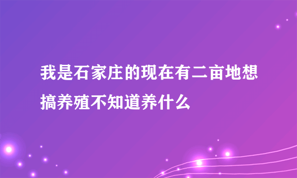 我是石家庄的现在有二亩地想搞养殖不知道养什么