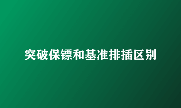突破保镖和基准排插区别