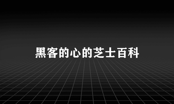 黑客的心的芝士百科