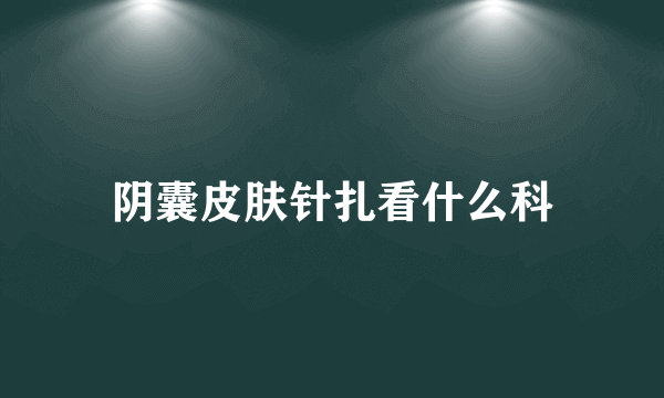 阴囊皮肤针扎看什么科