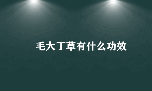 ​毛大丁草有什么功效