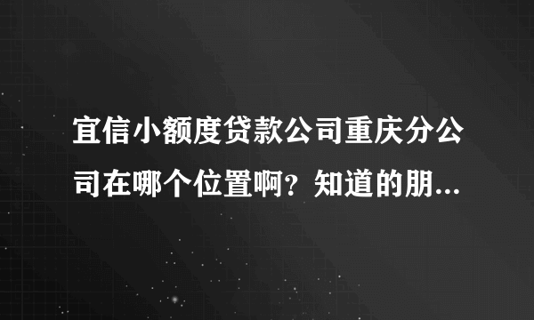 宜信小额度贷款公司重庆分公司在哪个位置啊？知道的朋友请指教一哈，谢谢！急啊！！