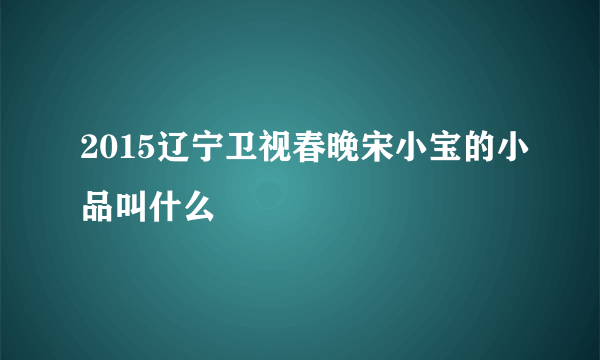 2015辽宁卫视春晚宋小宝的小品叫什么