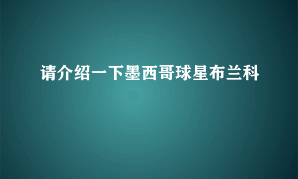 请介绍一下墨西哥球星布兰科