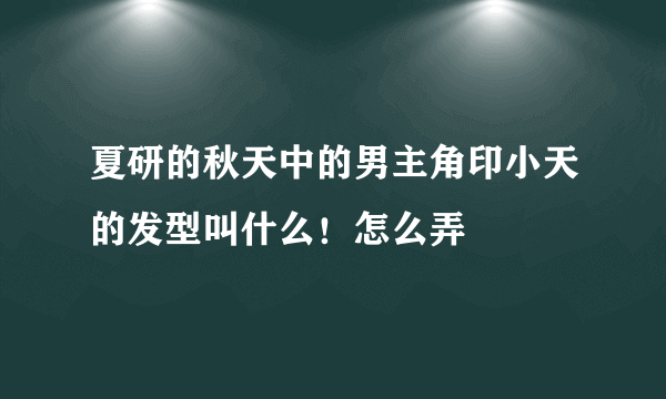 夏研的秋天中的男主角印小天的发型叫什么！怎么弄