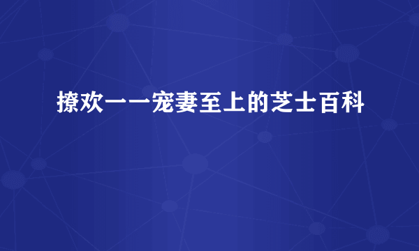 撩欢一一宠妻至上的芝士百科