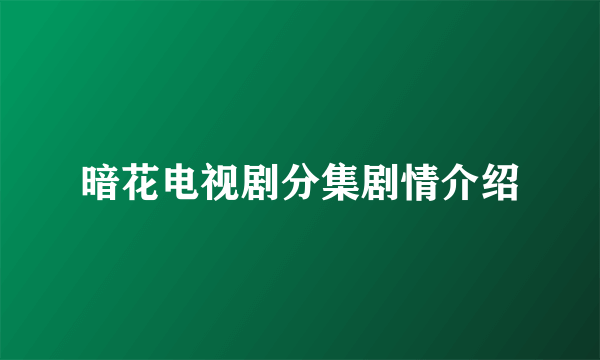 暗花电视剧分集剧情介绍