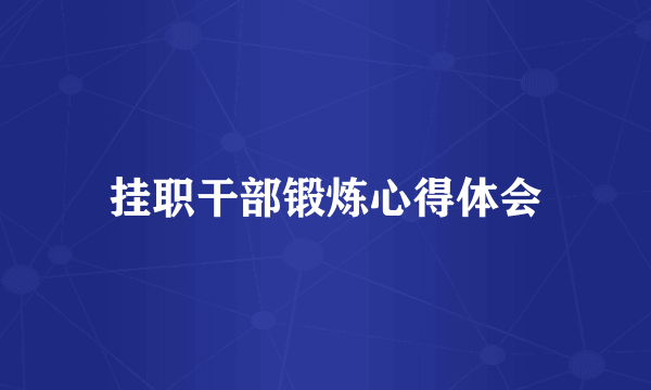 挂职干部锻炼心得体会