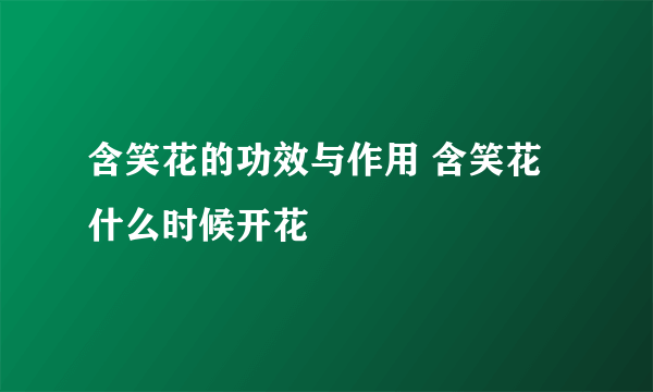 含笑花的功效与作用 含笑花什么时候开花