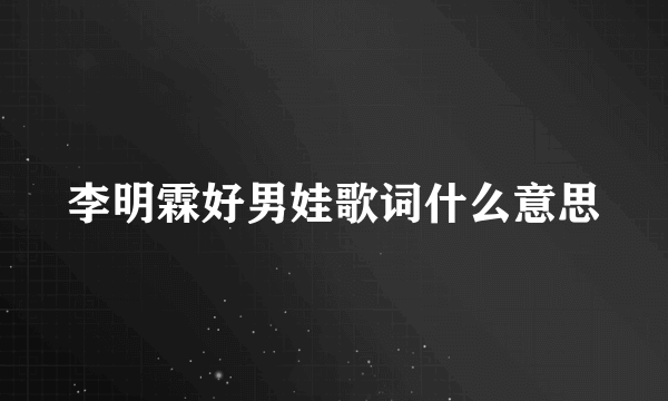李明霖好男娃歌词什么意思