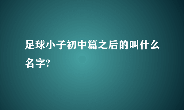 足球小子初中篇之后的叫什么名字?