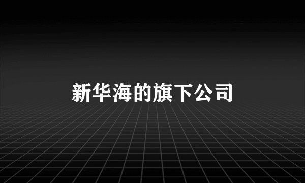 新华海的旗下公司