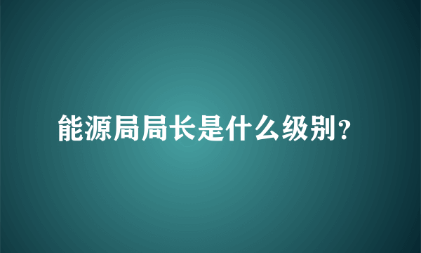 能源局局长是什么级别？