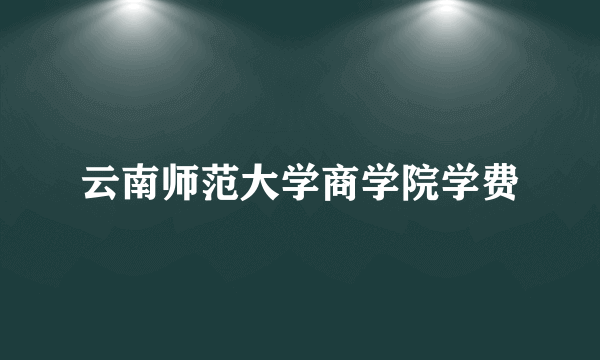 云南师范大学商学院学费