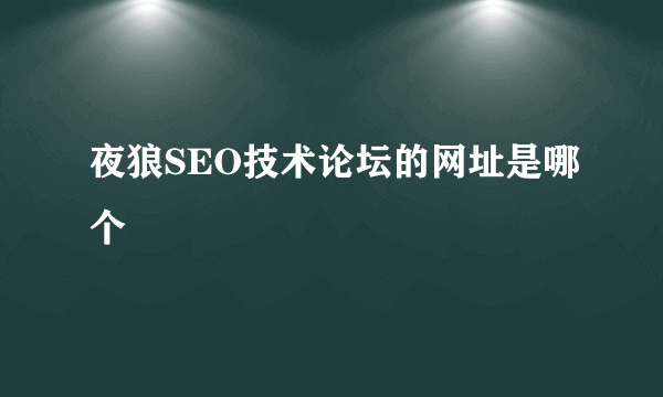 夜狼SEO技术论坛的网址是哪个