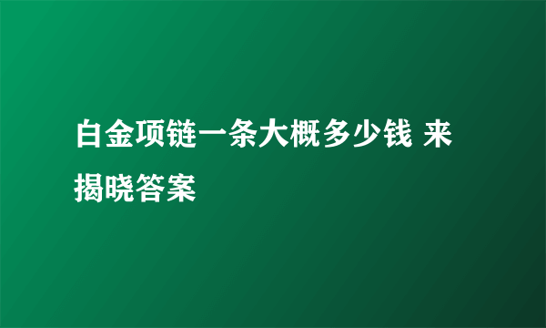 白金项链一条大概多少钱 来揭晓答案