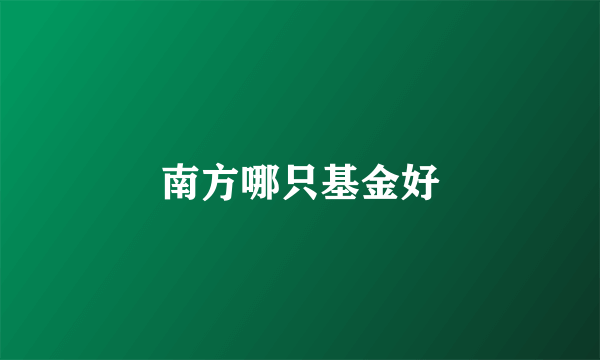 南方哪只基金好