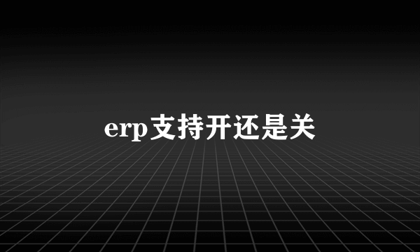 erp支持开还是关